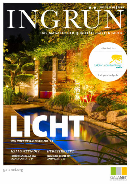 Ingrün 03/2019
