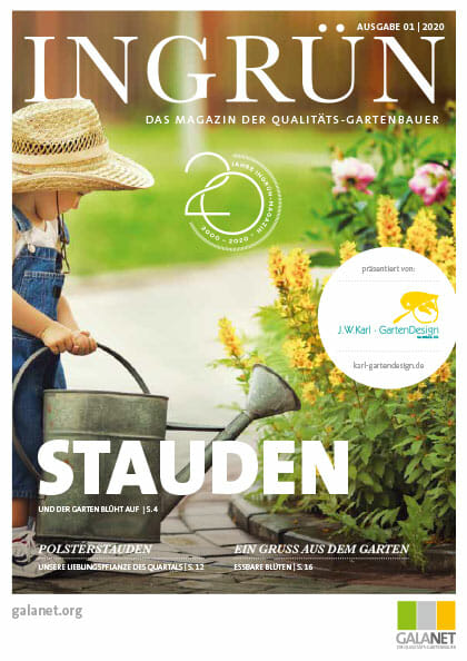 Ingrün 01/2020