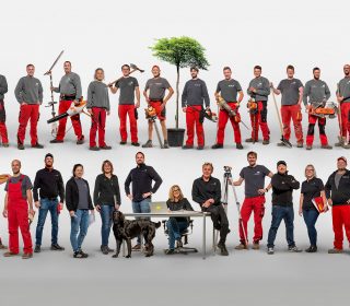 Team